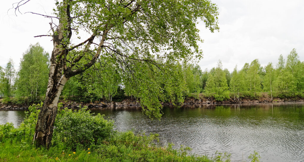 Kesäinen maisema jokirannasta